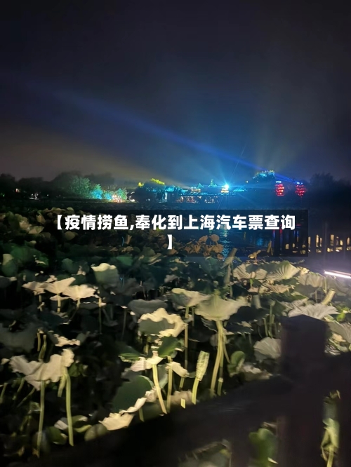 【疫情捞鱼,奉化到上海汽车票查询】-第2张图片