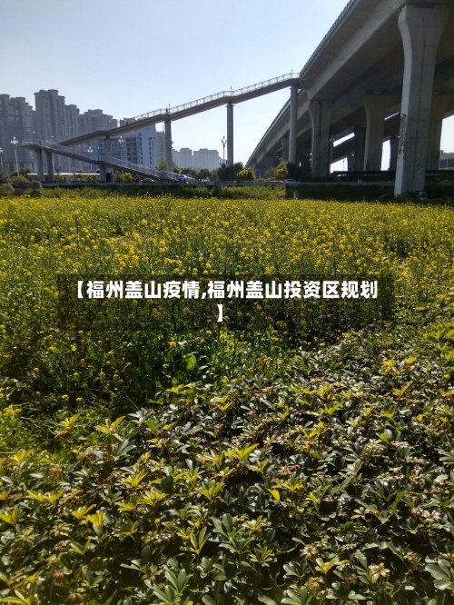 【福州盖山疫情,福州盖山投资区规划】-第1张图片