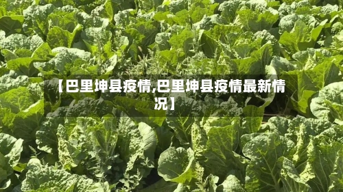 【巴里坤县疫情,巴里坤县疫情最新情况】-第2张图片