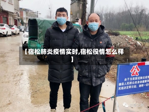 【宿松肺炎疫情实时,宿松役情怎么样】-第1张图片