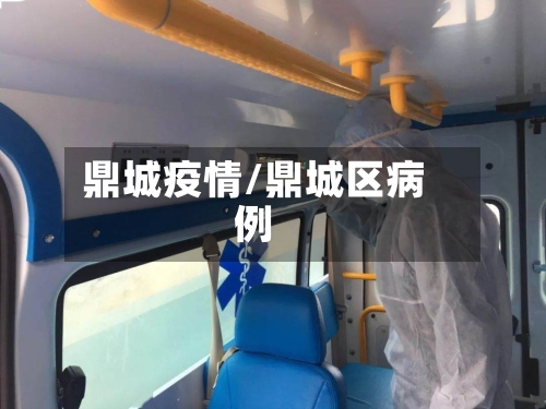 鼎城疫情/鼎城区病例-第2张图片