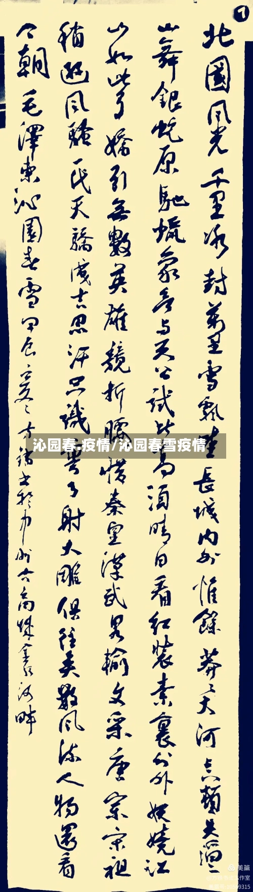 沁园春.疫情/沁园春雪疫情-第2张图片