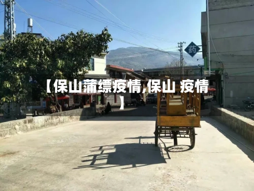 【保山蒲缥疫情,保山 疫情】-第3张图片
