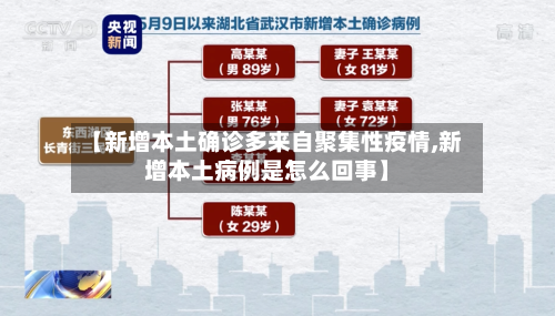 【新增本土确诊多来自聚集性疫情,新增本土病例是怎么回事】-第1张图片