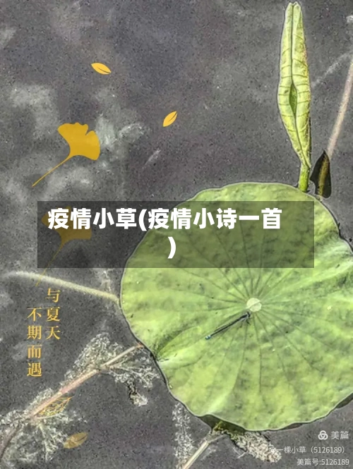 疫情小草(疫情小诗一首)-第1张图片