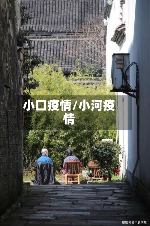 小口疫情/小河疫情-第2张图片