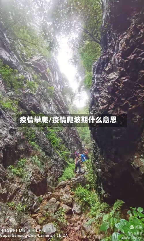 疫情攀爬/疫情爬坡期什么意思-第1张图片