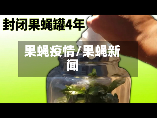 果蝇疫情/果蝇新闻-第2张图片