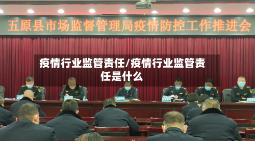 疫情行业监管责任/疫情行业监管责任是什么-第2张图片