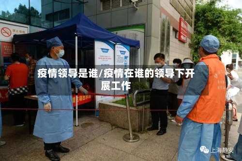 疫情领导是谁/疫情在谁的领导下开展工作-第2张图片