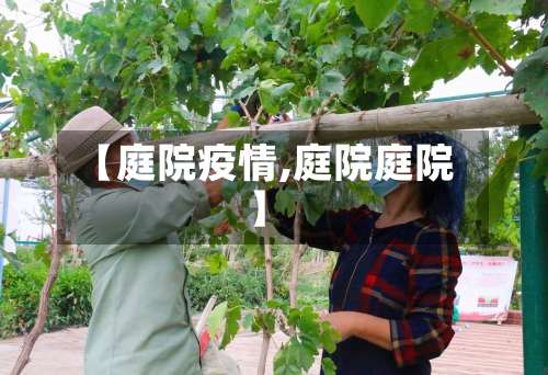 【庭院疫情,庭院庭院】-第1张图片