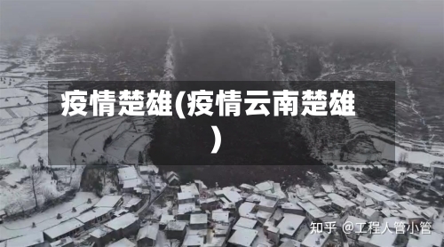 疫情楚雄(疫情云南楚雄)-第2张图片