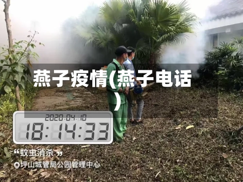 燕子疫情(燕子电话)-第2张图片