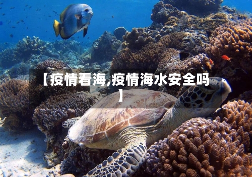 【疫情看海,疫情海水安全吗】-第1张图片