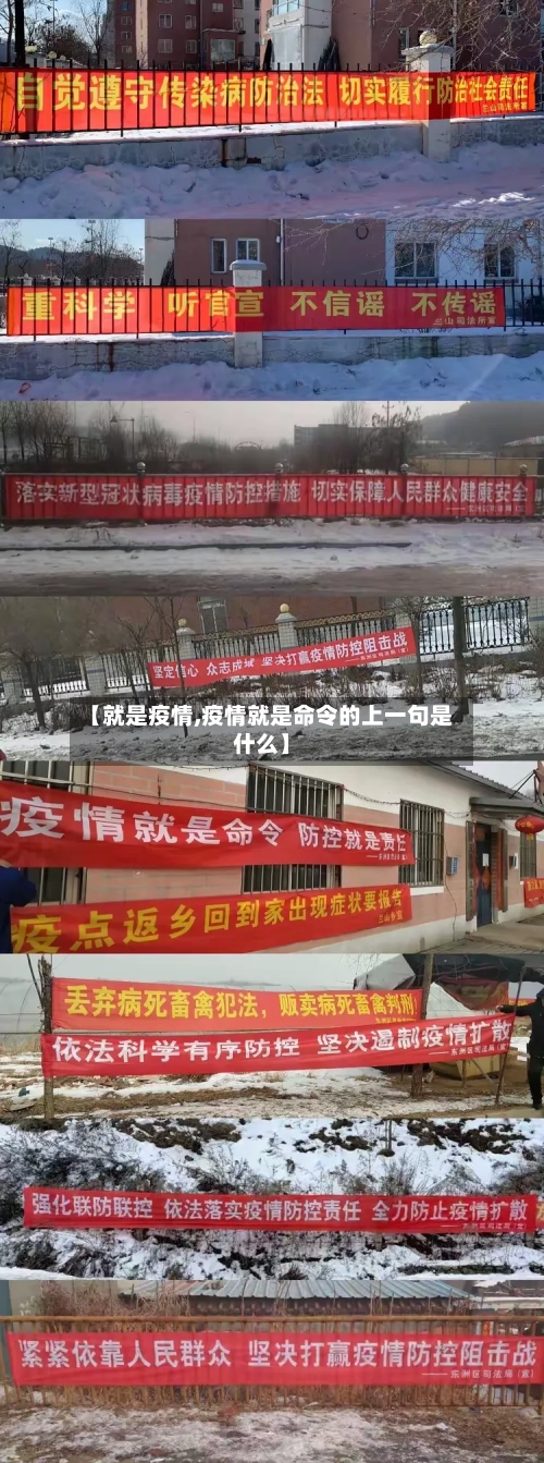 【就是疫情,疫情就是命令的上一句是什么】-第1张图片
