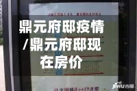 鼎元府邸疫情/鼎元府邸现在房价-第1张图片