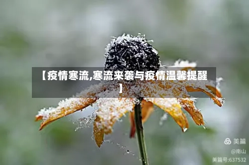 【疫情寒流,寒流来袭与疫情温馨提醒】-第1张图片